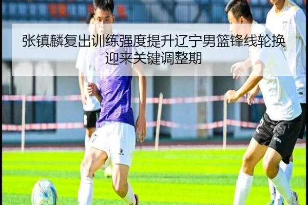 张镇麟复出训练强度提升辽宁男篮锋线轮换迎来关键调整期
